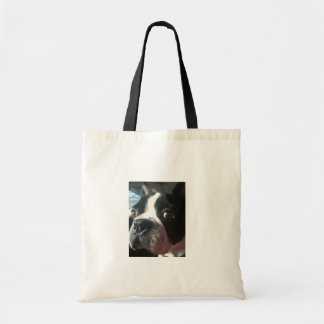 Tela Bolso de Jake