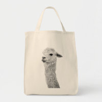 Bolso de la alpaca