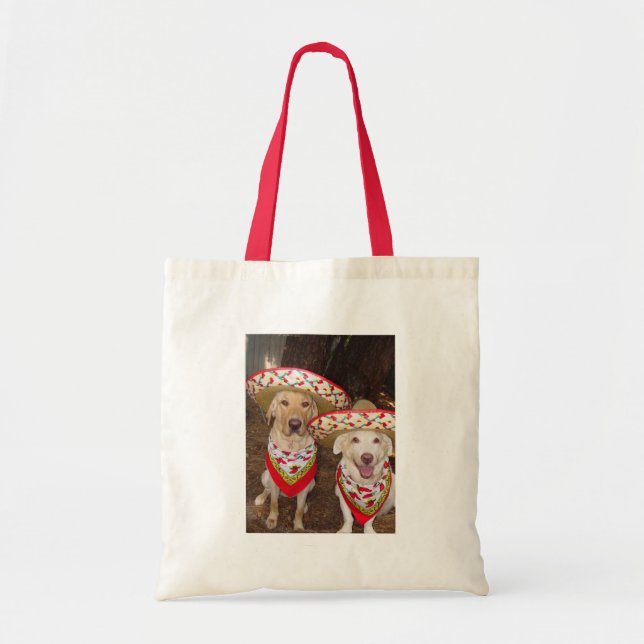 Tela Bolso de la fiesta (Frente)