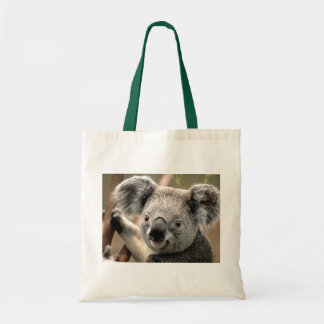 Tela Bolso de la koala