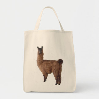 Tela Bolso de la llama