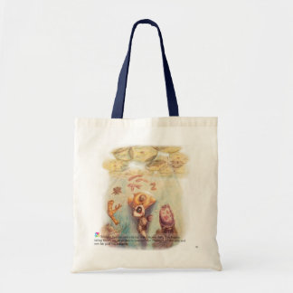 Tela bolso de la página 80