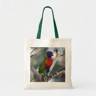 Tela Bolso de Lorikeet del arco iris