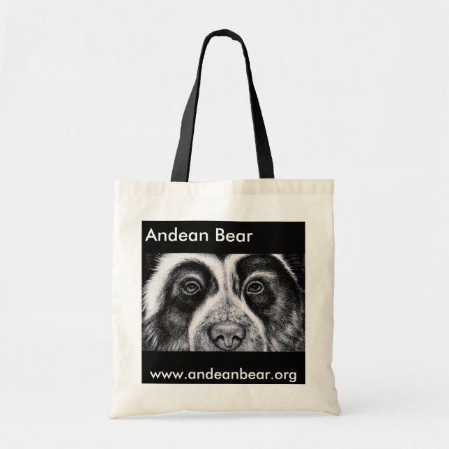 Tela Bolso de Rogelio Manrique (Frente)