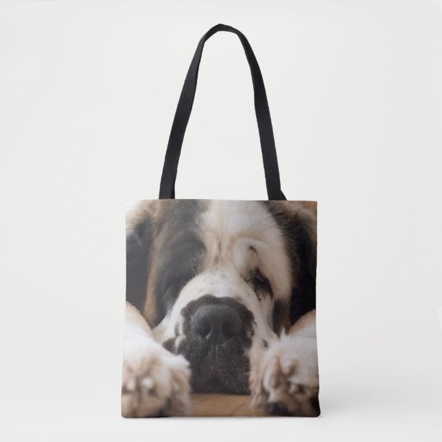 Tela Bolso de St Bernard (Anverso)