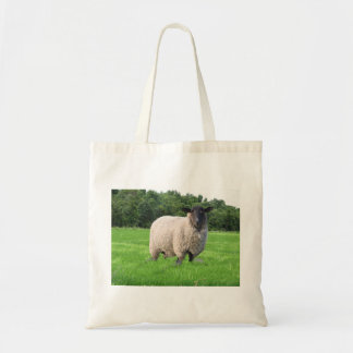 Tela Bolso de ultramarinos del paño de Sheal
