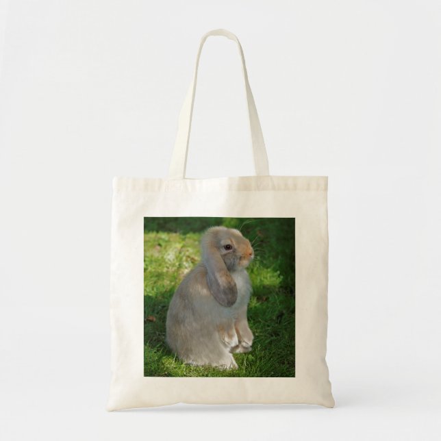 Tela Bolso del conejo de Minilop del bebé (Frente)