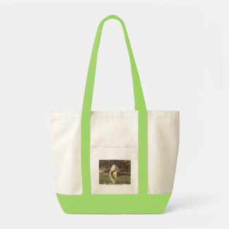 Tela Bolso del espejo de Merced