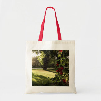 Tela Bolso lluvioso de los rosas