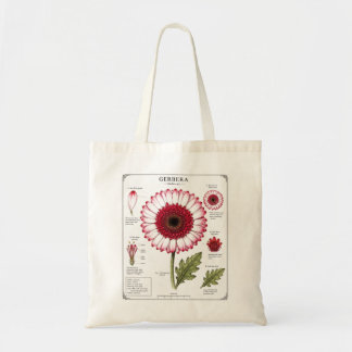 Tela Bolso Totémico de Arte de Anatomía Floral Vintage