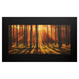 Tela Bosque de Sunrise
