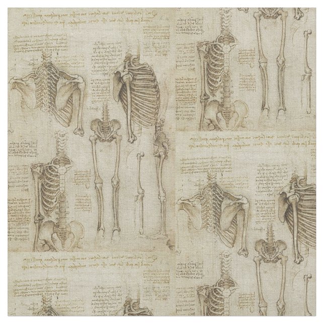 Tela Bosquejos esqueléticos humanos de la anatomía de (De cerca)