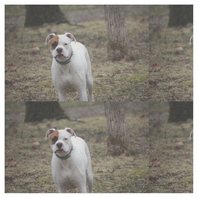 Tela Boxeador (De cerca)