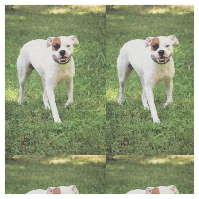 Tela Boxeador (De cerca)