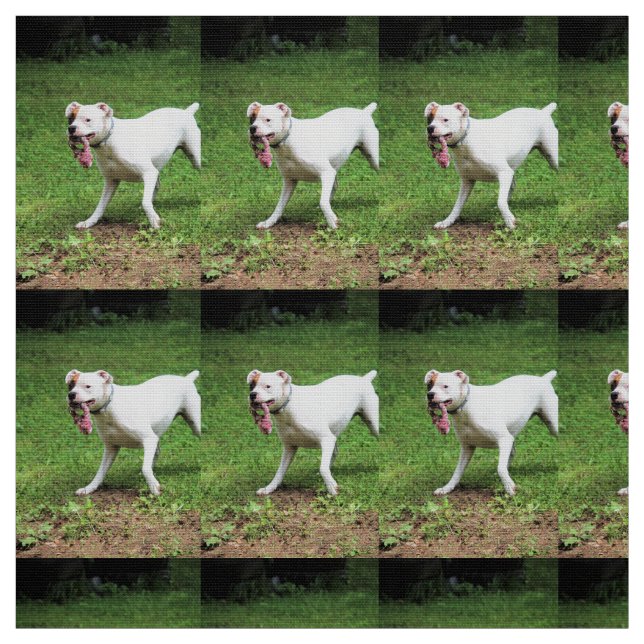 Tela Boxeador (Retal)