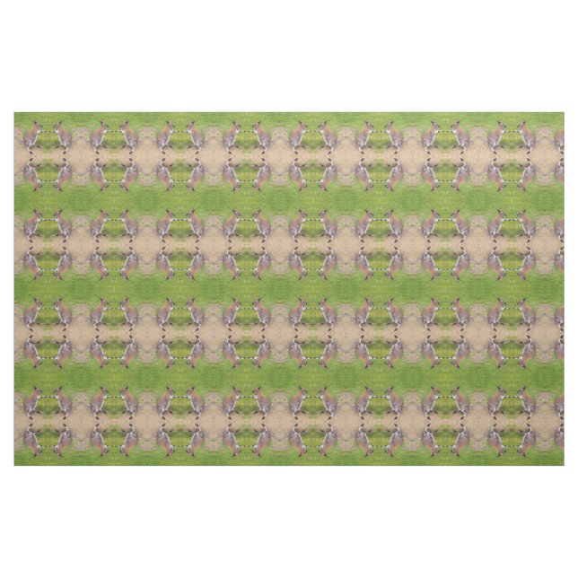 Tela Boxing Kangaroos Fabric (Yarda)