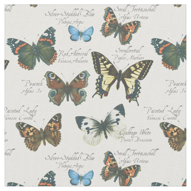 Tela británica de las mariposas (De cerca)