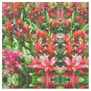 Tela Bromeliads