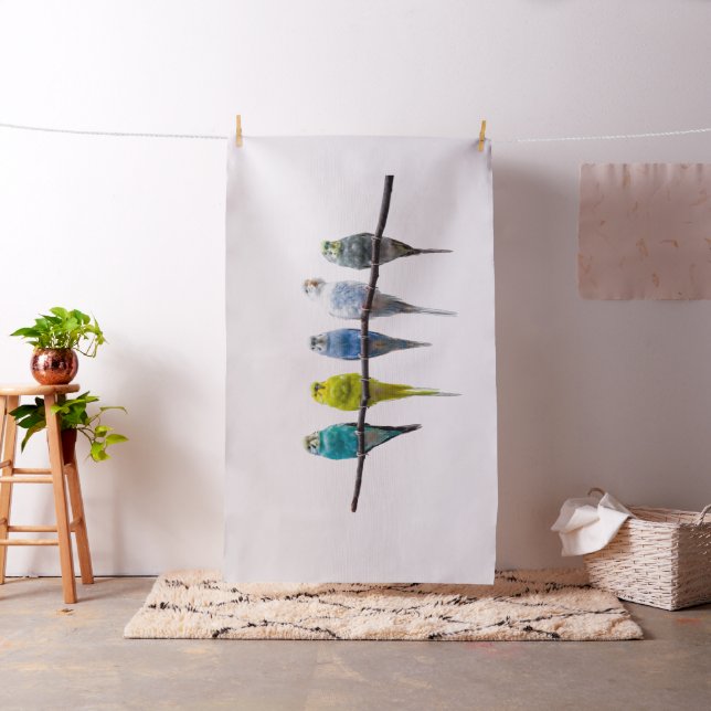 Tela Budgies (In Situ)