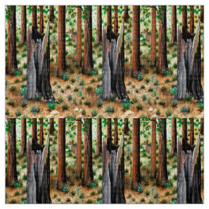 Tela Buenos días Raccoon Fabric