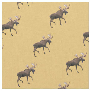 Tela Bull Moose