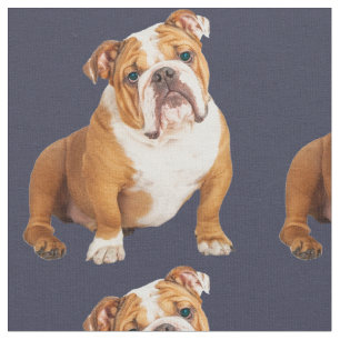 Tela Bulldog inglés Perro mascota pop