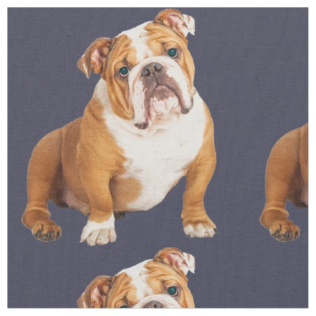 Tela Bulldog inglés Perro mascota pop (De cerca)