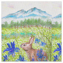 Bunny Iris Fields
