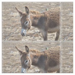 Tela Burro adorable