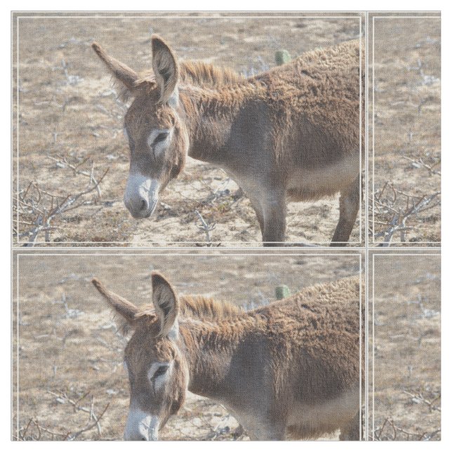 Tela Burro adorable (De cerca)