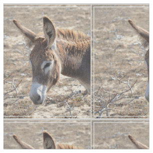 Tela Burro adorable