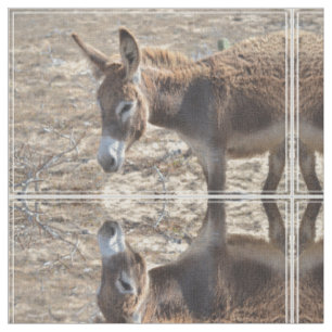 Tela Burro adorable