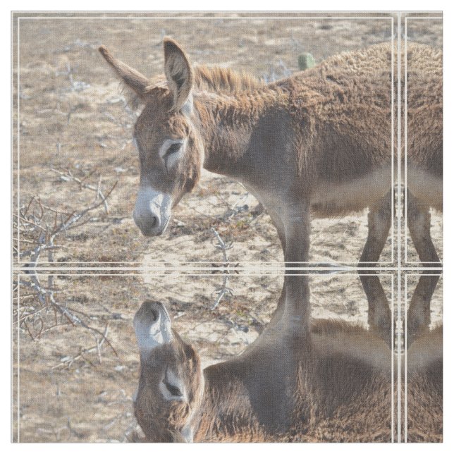 Tela Burro adorable (De cerca)