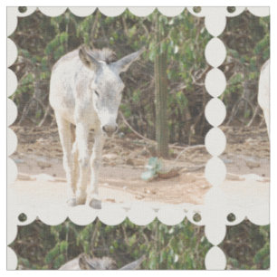 Tela Burro gris