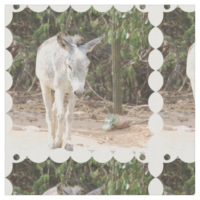 Tela Burro gris (De cerca)