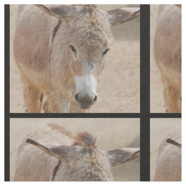 Tela Burro solo (De cerca)