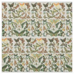 Tela Butterfly Vintage Antiguo Butterflies Art