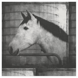 Tela Caballo andaluz