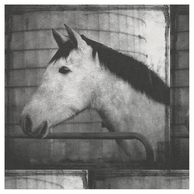 Tela Caballo andaluz (De cerca)