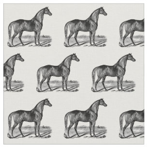 Tela Caballo Antiguo de Pie