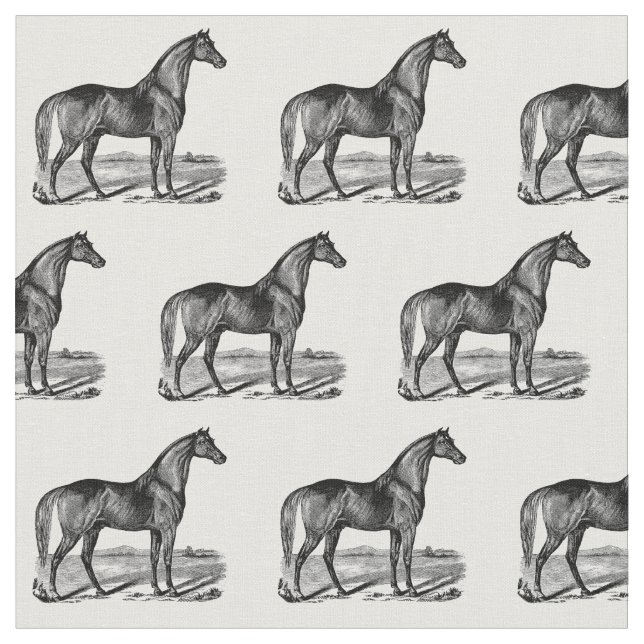 Tela Caballo Antiguo de Pie (De cerca)