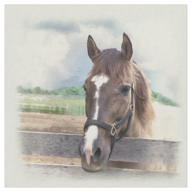 Tela Caballo de Brown con el halter (De cerca)