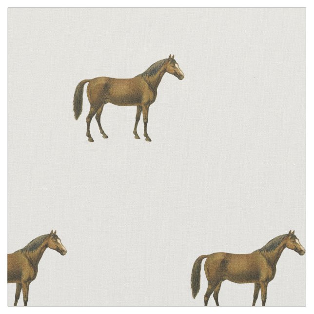 Tela Caballo Vintage (De cerca)