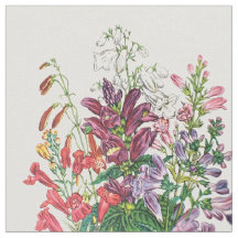 Cabezas de toro y lenguas