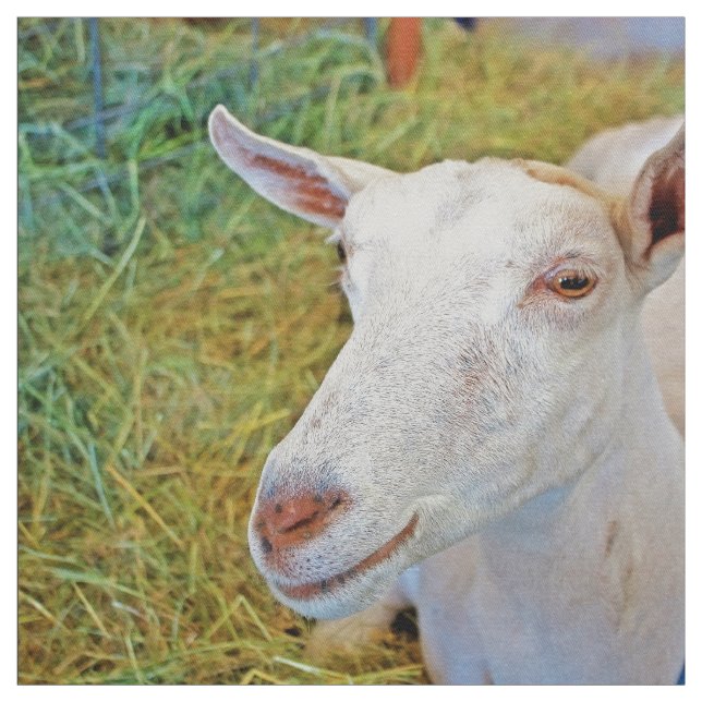 Tela Cabra blanca (Retal)