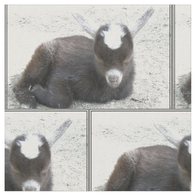 Tela Cabra del niño (De cerca)