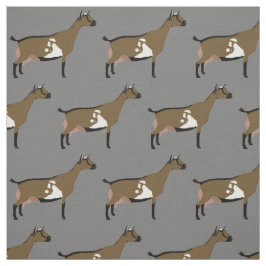 Tela Cabra láctea enana nigeriana