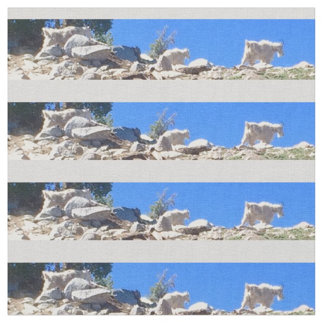 Tela Cabras de las Montañas Azules (De cerca)
