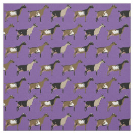 Tela Cabras lácteas enanas nigerianas en morado