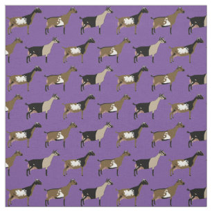Tela Cabras lácteas enanas nigerianas en morado